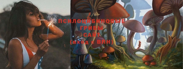 крисы Верхний Тагил