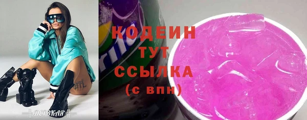 крисы Верхний Тагил