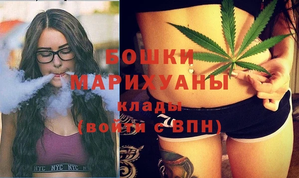 мдпв Верея