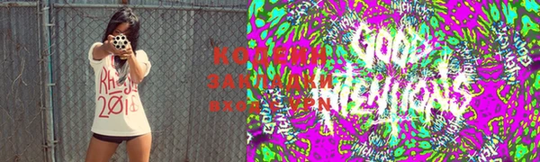 крисы Верхний Тагил