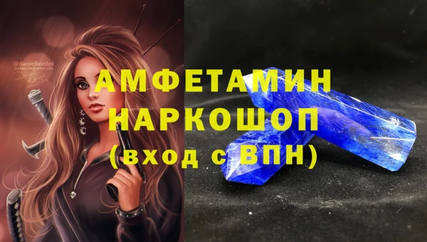 мдпв Верея