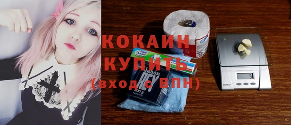 крисы Верхний Тагил