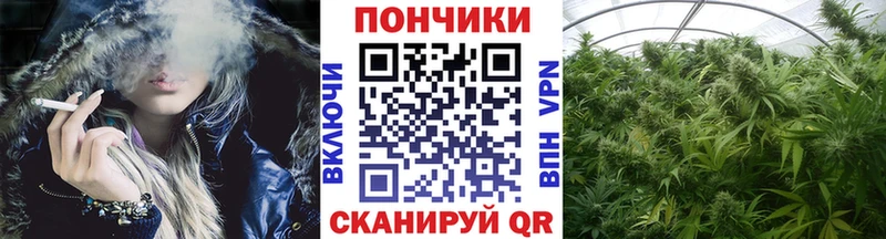 цены наркотик  Гаврилов Посад  MEGA   МАРИХУАНА THC 21% 